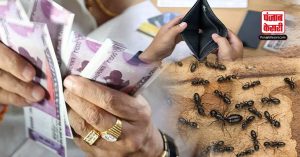 कर्ज मुक्ति का रामबाण उपाय है चींटियों को दाना देना