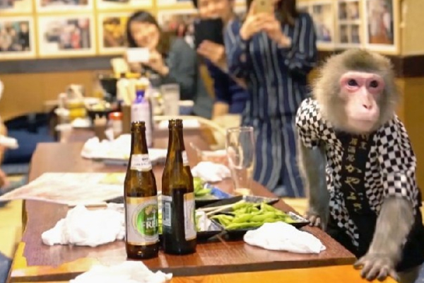 Japan Monkey Restaurant