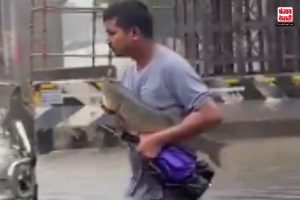 Chennai की मूसलाधार बारिश में मछली पकड़ता दिखा शख्स, नजारा देख छूट जाएगी हसीं