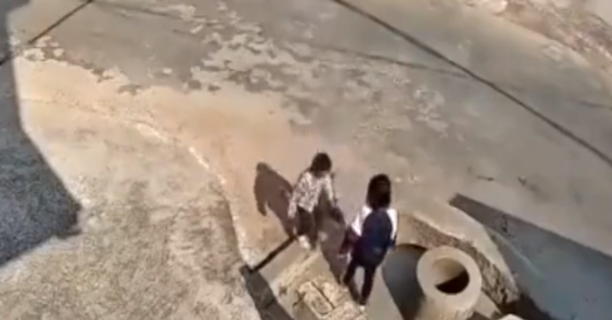 Little Girl Throws 4 Year Old Boy