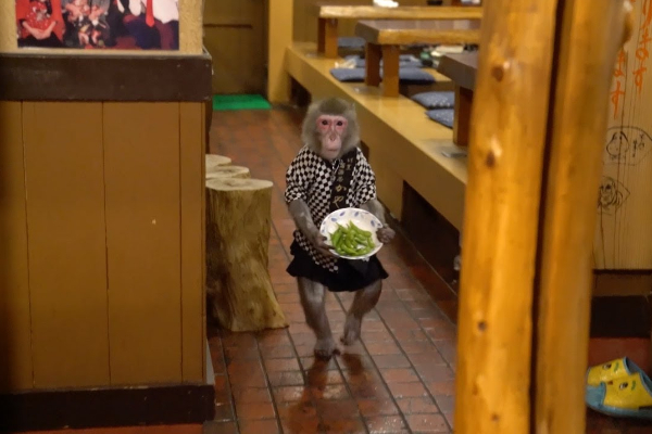 Japan Monkey Restaurant