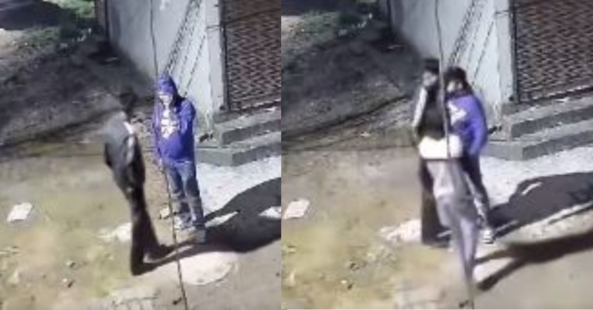Snatcher Trying Snatch Mobile