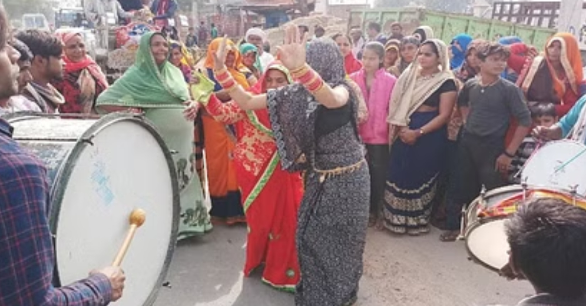 Cow Bride Bull Groom Marriage Video