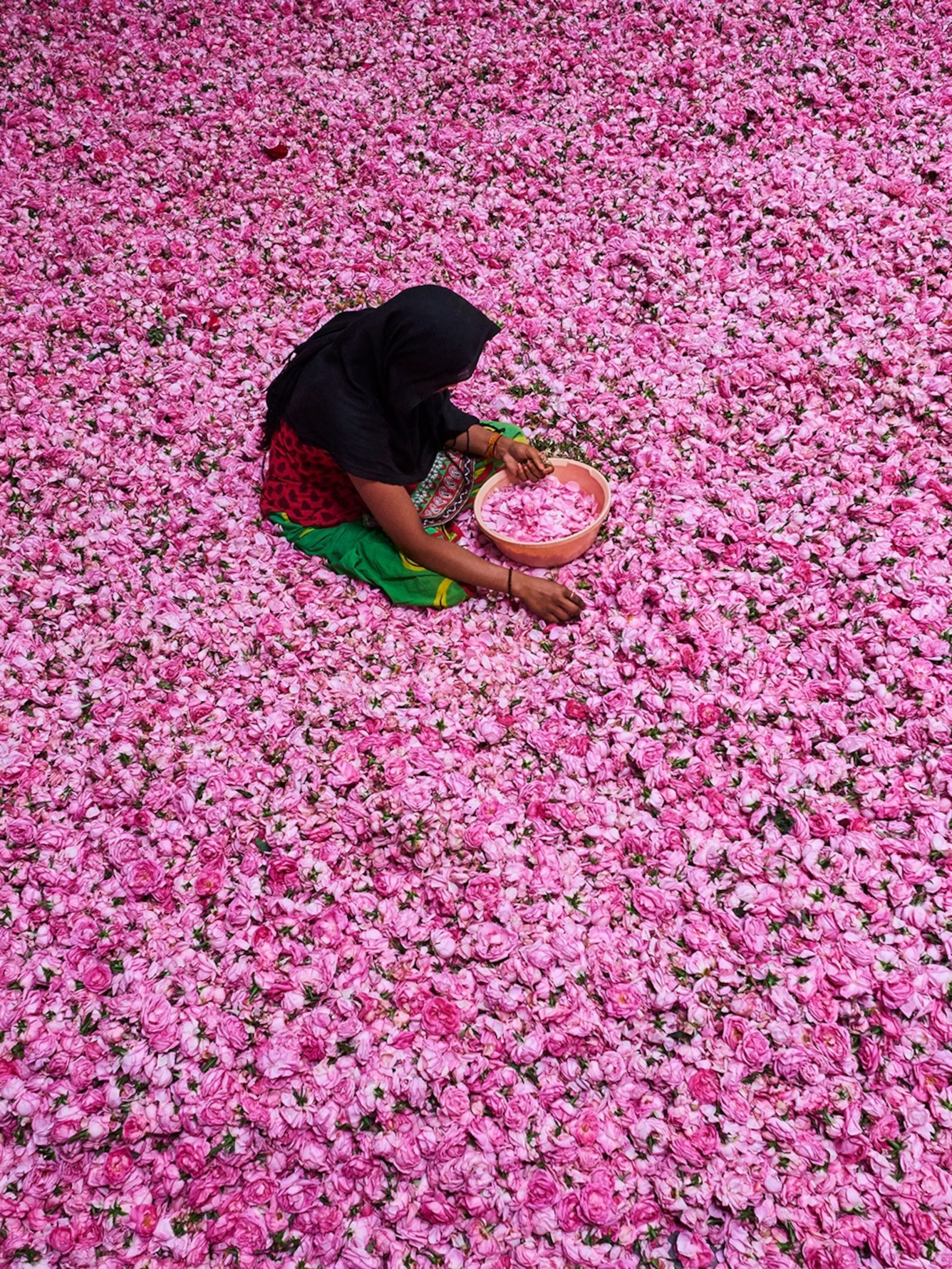 kannauj attar