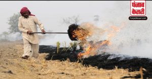 इस साल पंजाब और हरियाणा में पराली जलाने के मामलों में गिरावट: पर्यावरण मंत्रालय