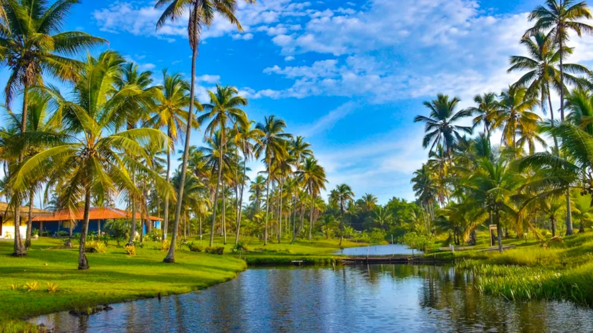 28 08 2023 wayanad tourist destinations f 23514885