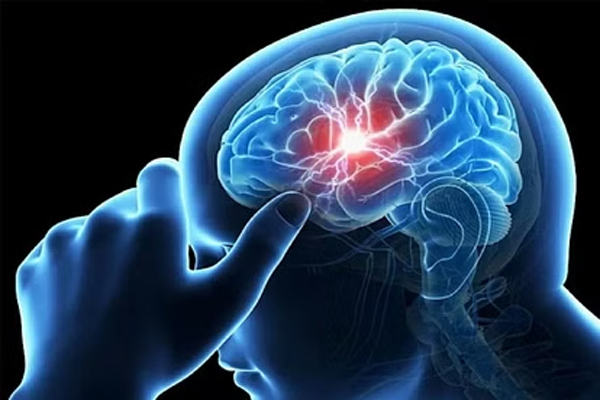 BRAIN