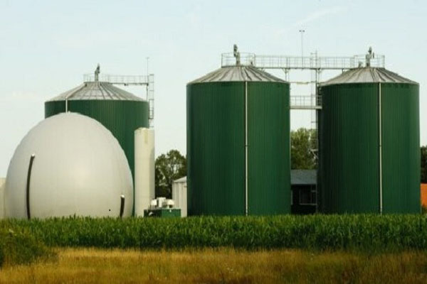 Bio Gas Program