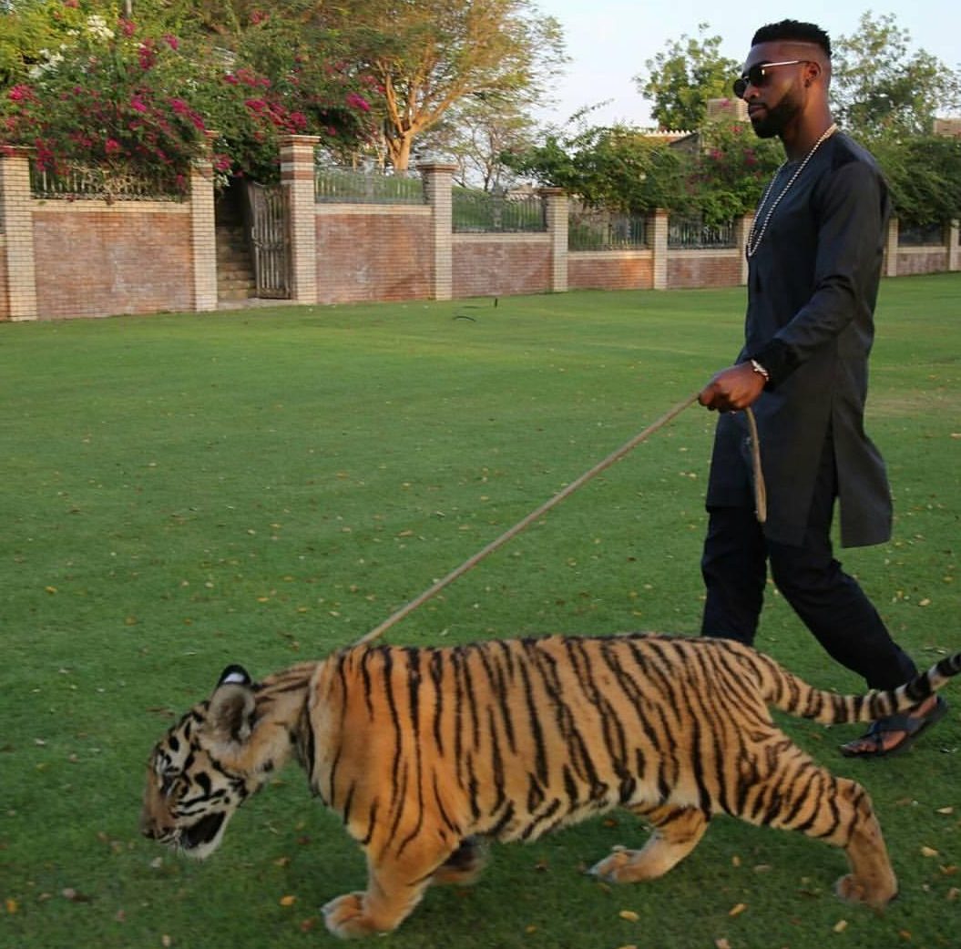 Pet tiger chases man in Dubai
