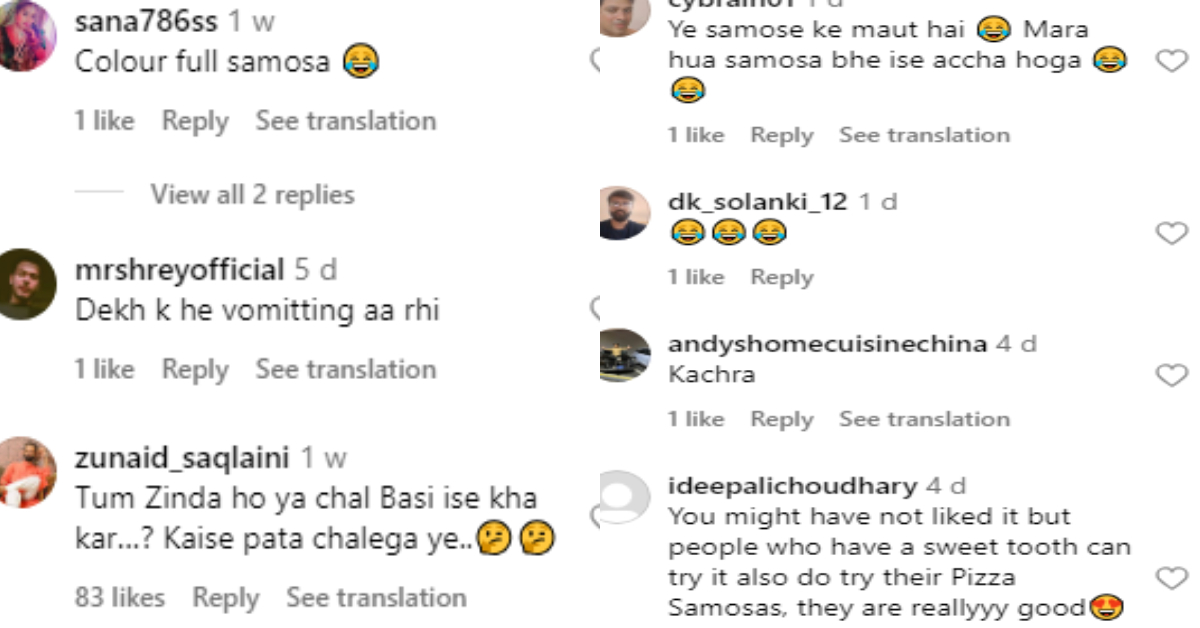 Blueberry Samosa Viral Video