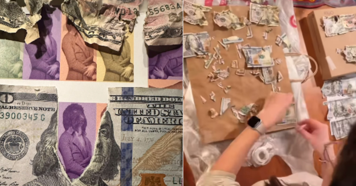 Dog Ate 4000 Dollars Cash Video