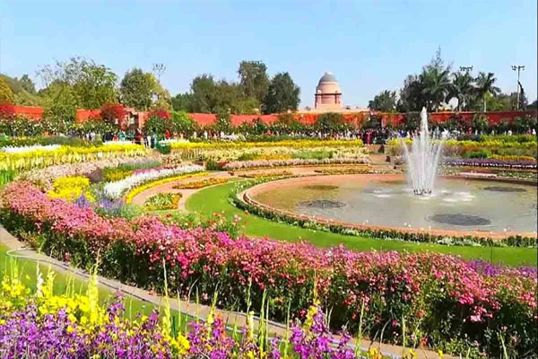 garden