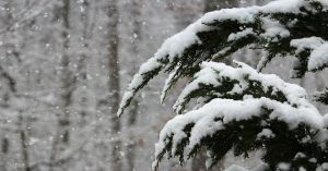 Jammu-Kashmir: गुरेज सेक्टर में हुई हल्की बर्फबारी, घाटी में शुष्क मौसम का दौर टूटा