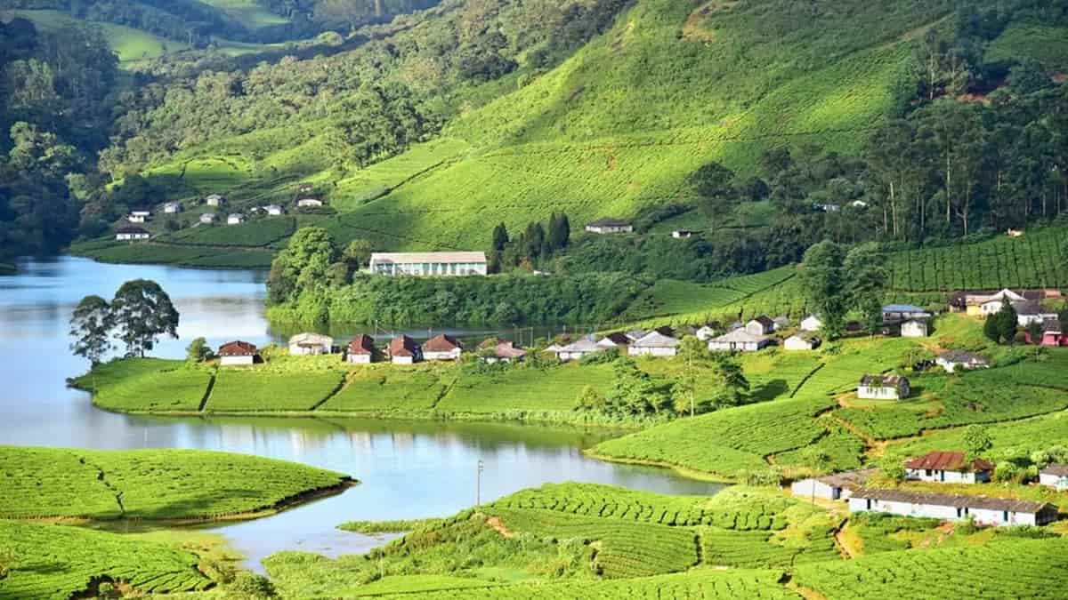 munnar1 1