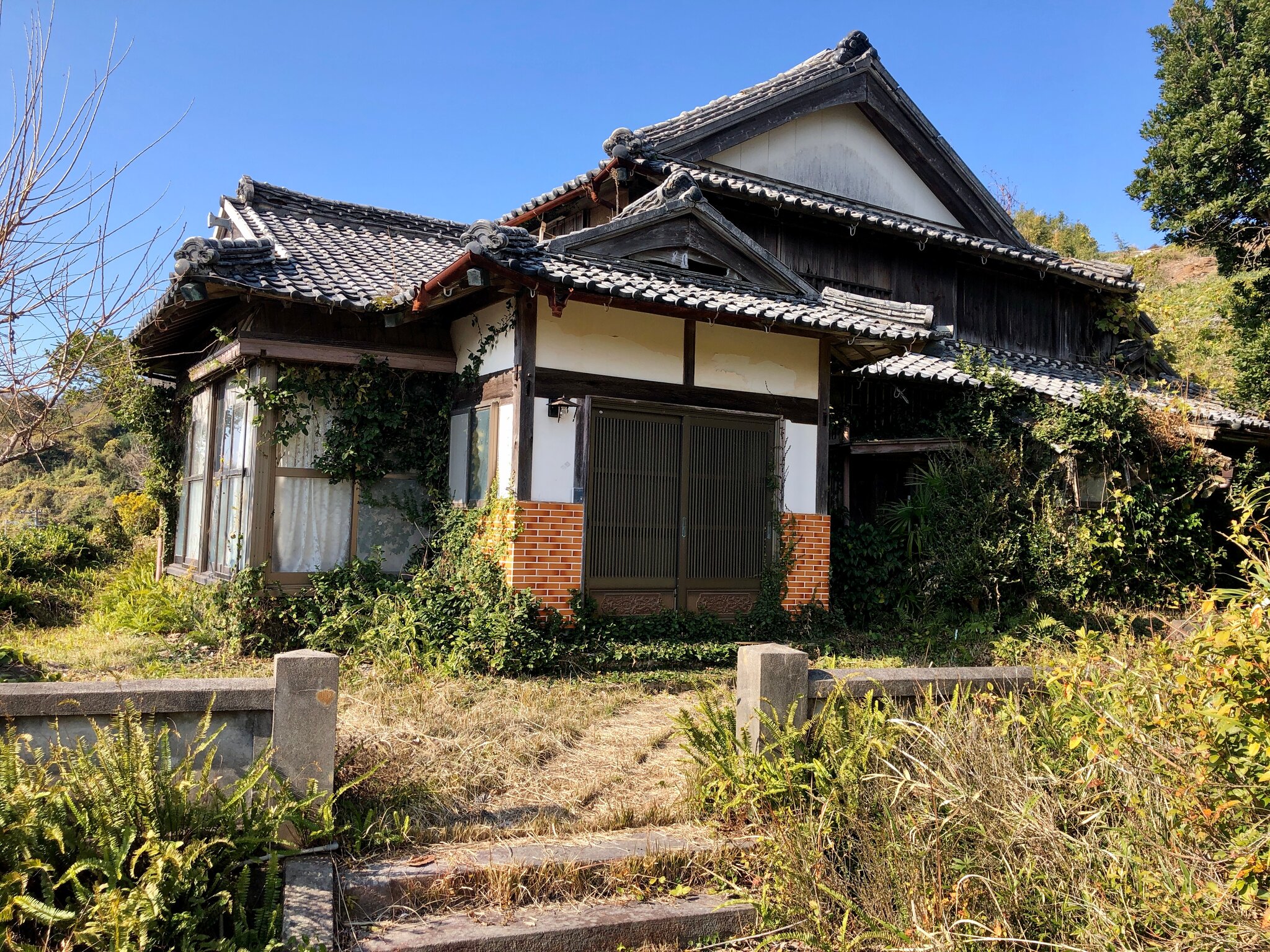 Couple renovating their home find treasure 
