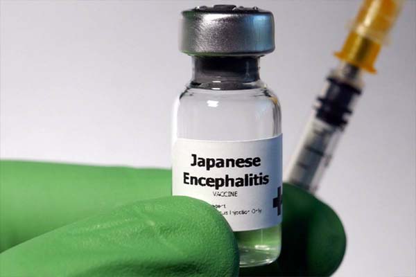 Japanese Encephalitis