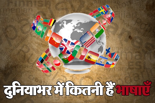 WhatsApp Image 2024 02 21 at 4.50.05 PM 1