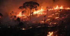 Chile Forest Fire: चिली के जगलों में आग से तबाही, अब तक 112 लोगों की मौत