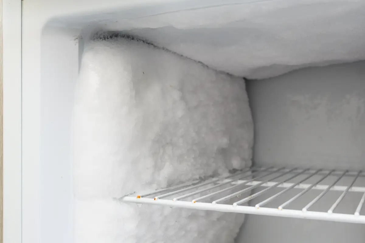 frozen ice1