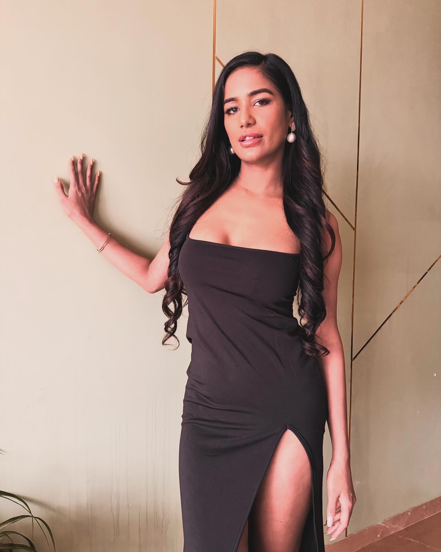 poonam pandey top controversies