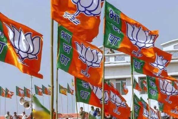 BJP Flag