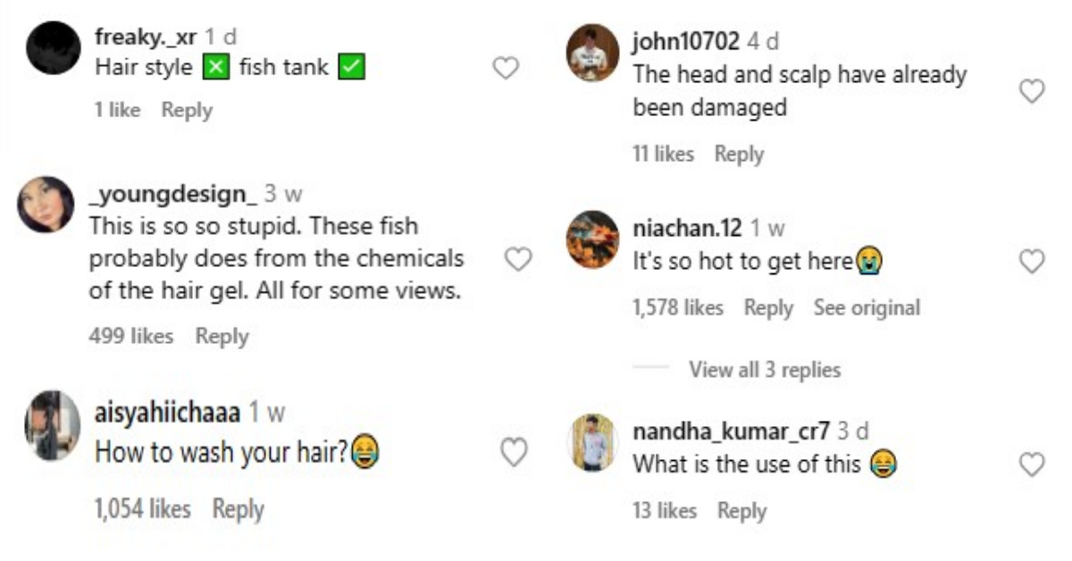 Viral Aquarium Hairstyle
