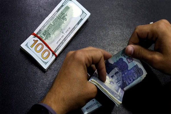 doller6