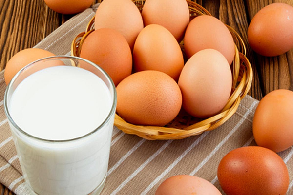 egg