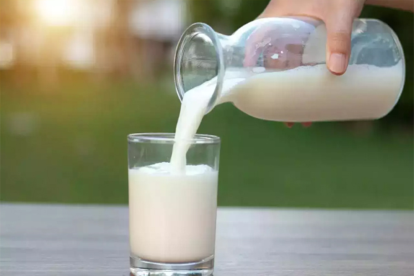egg3