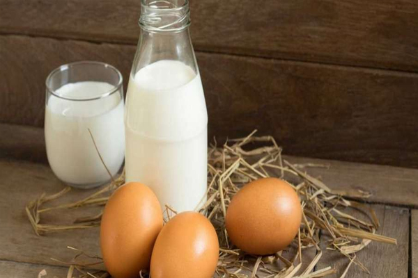egg4