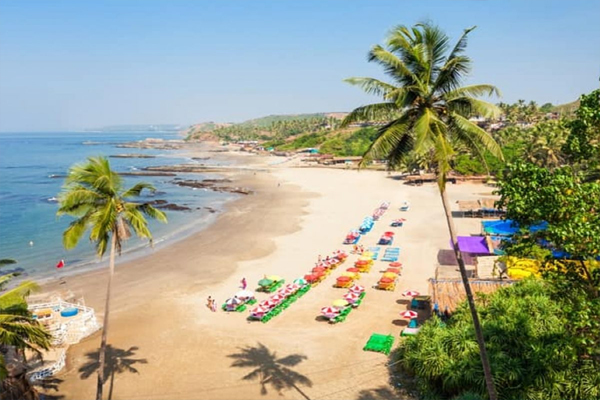 goa6