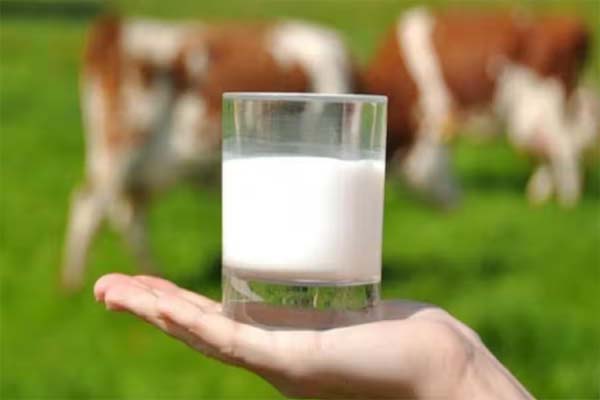 milk2 1