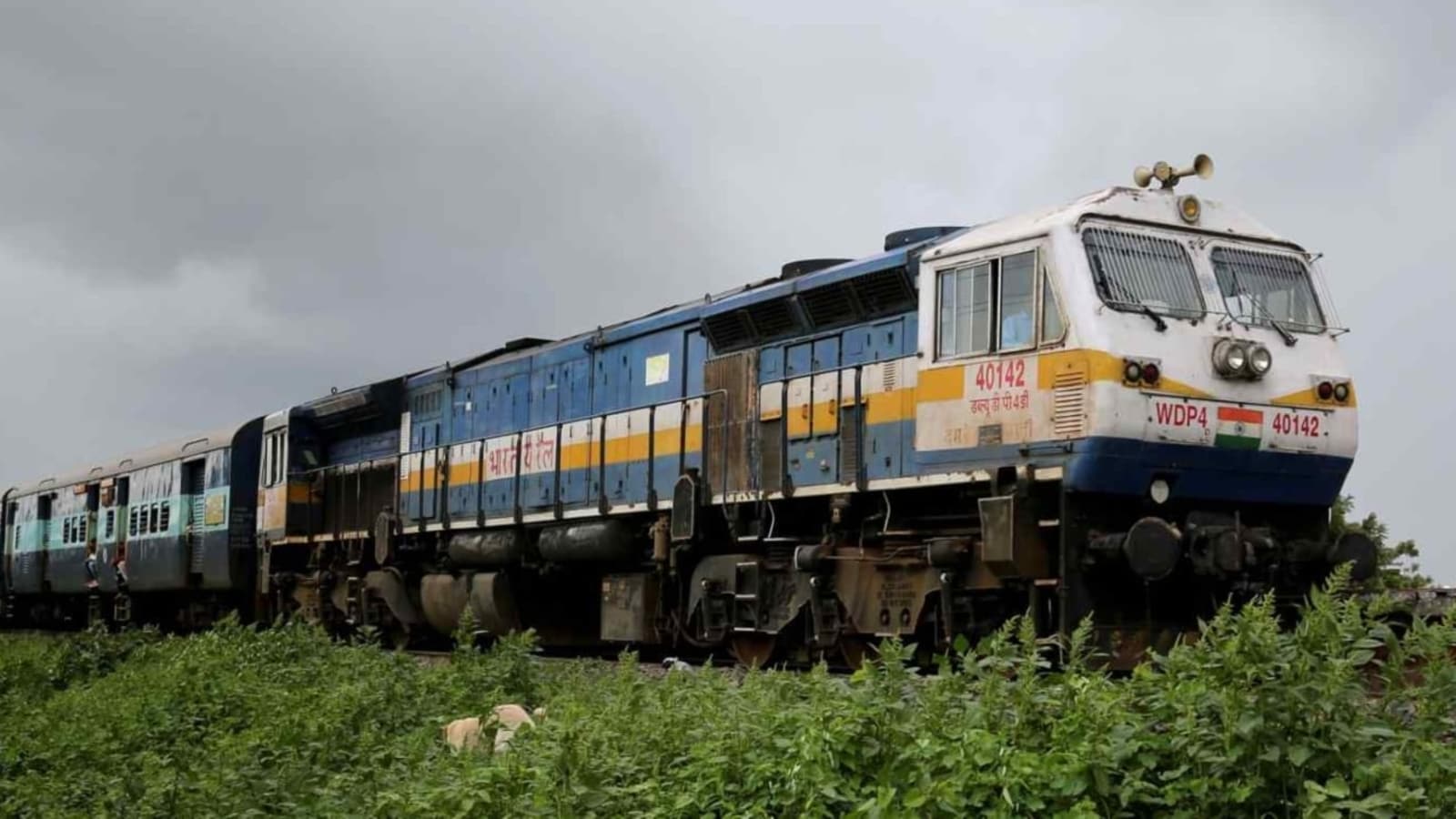 man falls off moving train while snatching elderly woman necklace