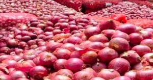 Onion Export: निषेध विस्तार के बावजूद भारत ने इस देश में भेजे हजारों टन प्याज