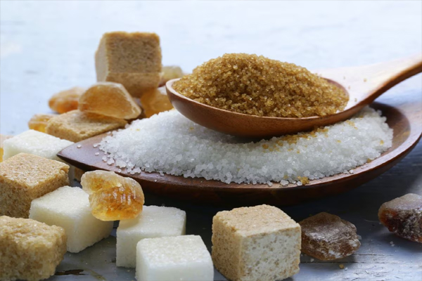 FOOD2 1