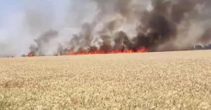 Haryana: आठ एकड़ में फैले गेहूं के खेत में लगी भीषण आग, झुलसने से किसान की मौत