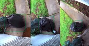Thief Disguised As Garbage Bag to steal Package