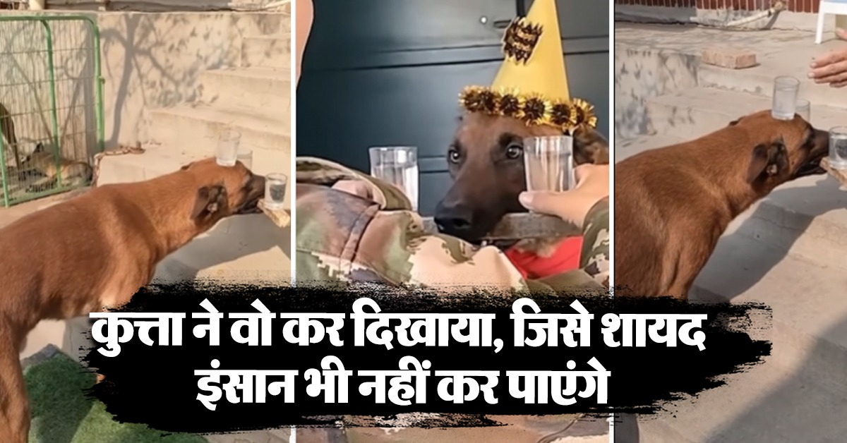 Army Dog Viral Video