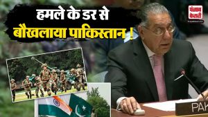 India Pakistan Relations: UN में पाकिस्तान के छूटे पसीने, भारत के डर से कही ये बात