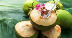 गर्मियों में फ्रेश रहने के लिए रोजाना पिएं नारियल पानी, त्वचा के लिए भी है फायदेमंद
