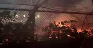 देहरादून : ISBT में देर रात झाड़ियों में आग लगने की घटना आई सामने , कड़ी मशक्कत के बाद आग पर पाया गया काबू