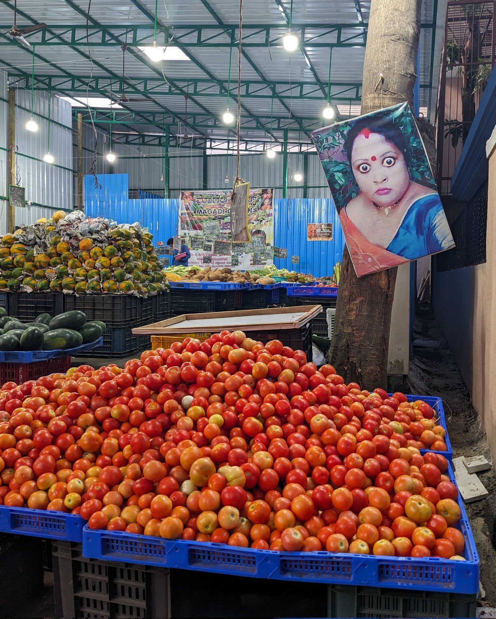 scary pic of an angry woman at bengaluru vegetable shop