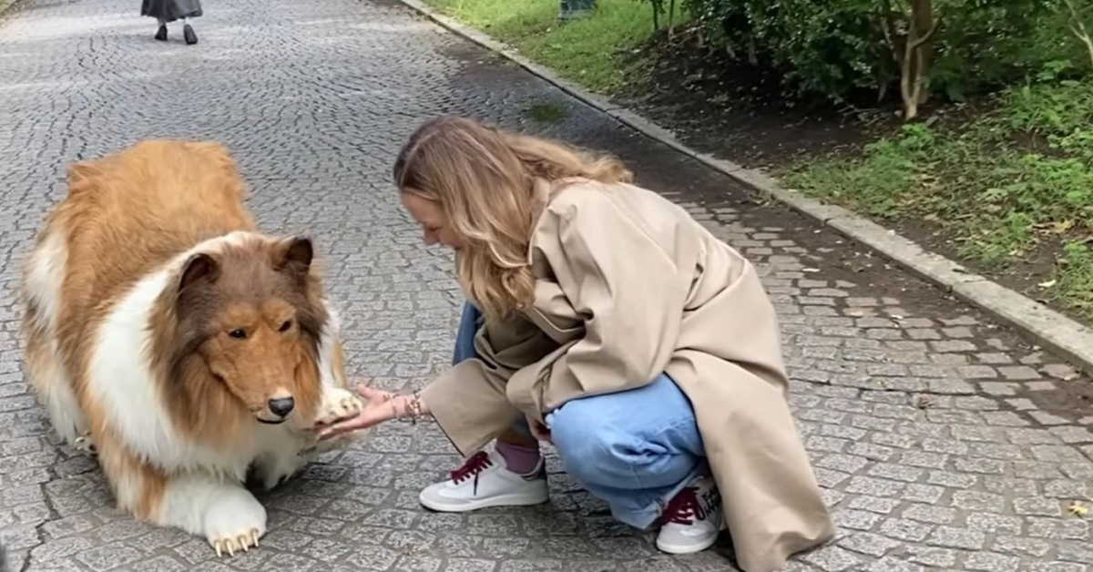 Japnese man transformed into dog