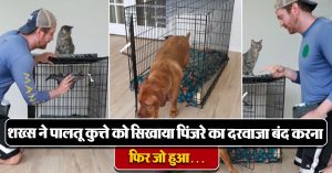 Viral Video: शख्स ने पालतू कुत्ते को सिखाया पिंजरे का दरवाजा बंद करना, फिर जो हुआ देख नहीं रोक पाएंगे हंसी