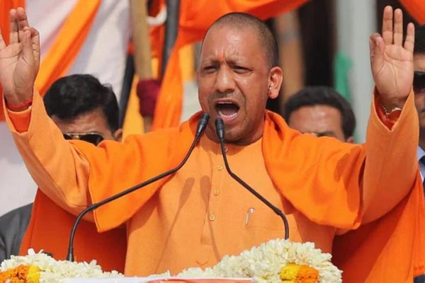 cm yogi1 2
