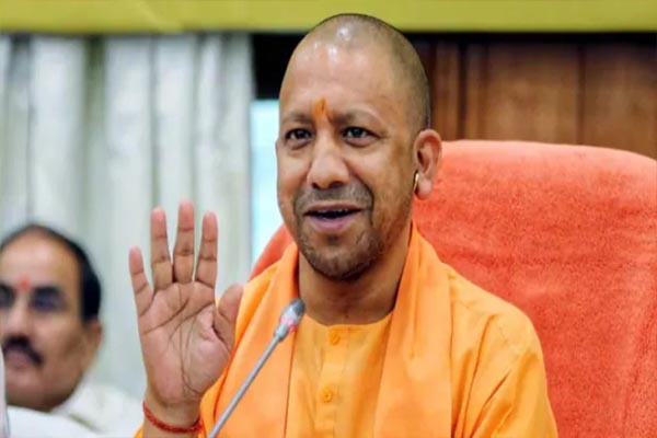 cm yogi2 1