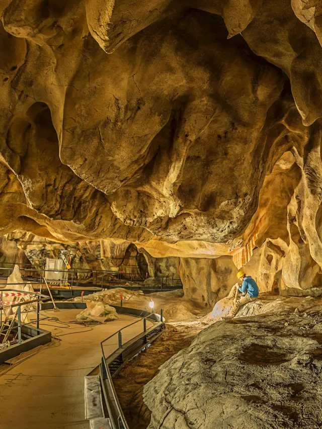 फ्रांस के Chauvet Cave से जुड़ी कुछ रोचक बातें