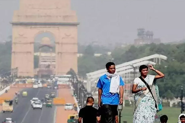 delhi2 10