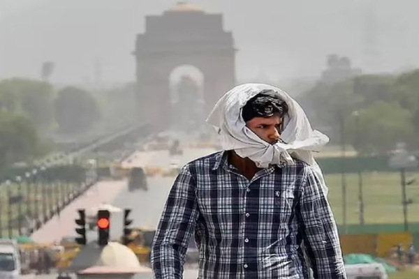 delhi3 13