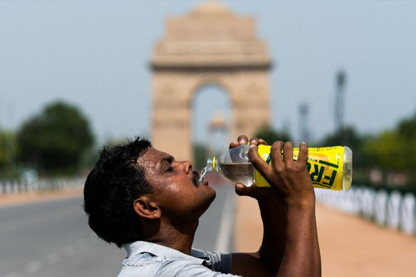 delhi4 4